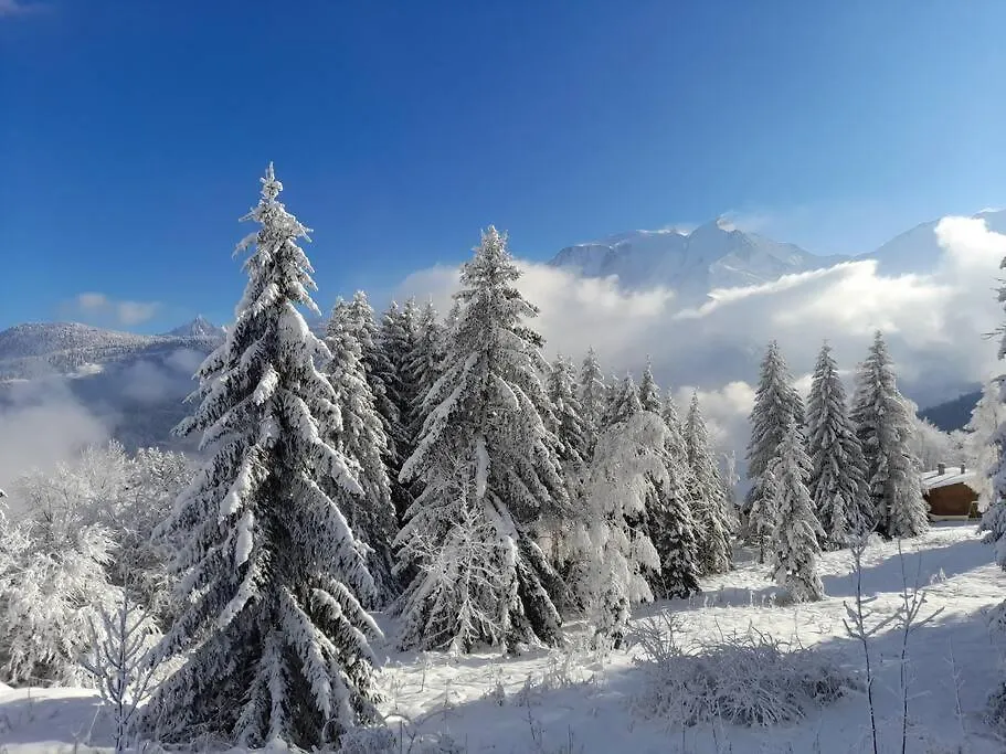 Appartement Le Cocon Du Bettex 1400 - Cozy Apt Near Mont Blanc Saint-Gervais-les-Bains