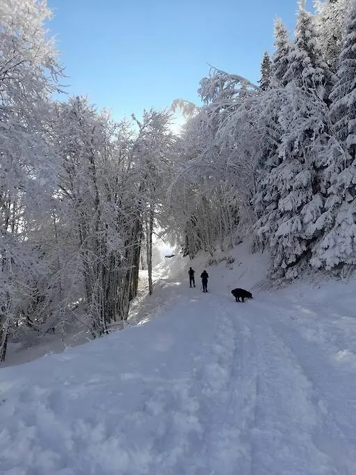 Le Cocon Du Bettex 1400 - Cozy Apt Near Mont Blanc Saint-Gervais-les-Bains 0*,  France